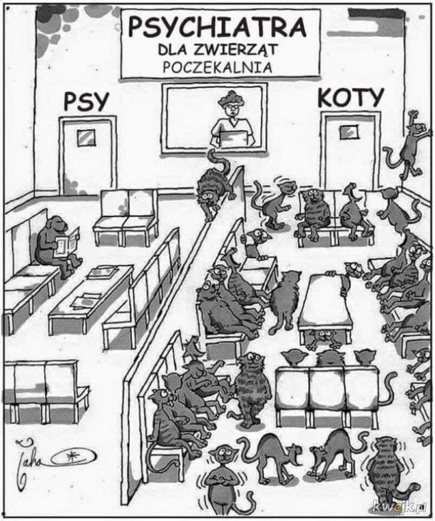 Psycholog zwierzęcy