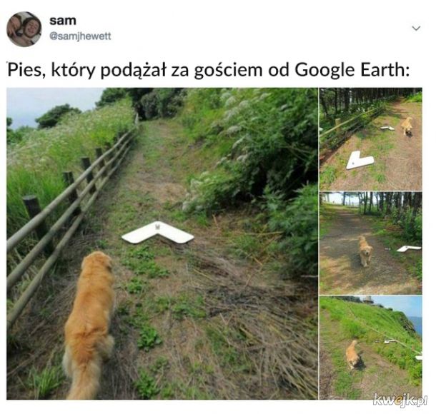 Dziwne rzeczy znalezione na Google Street View