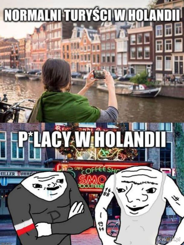 Polacy w Holandii