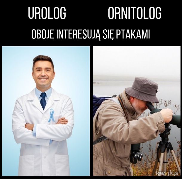 Urolog i ornitolog