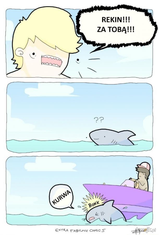 Uważaj, rekin!