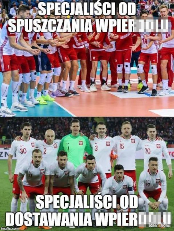 Memy po wygranej polskich siatkarzy w Mistrzostwach Świata