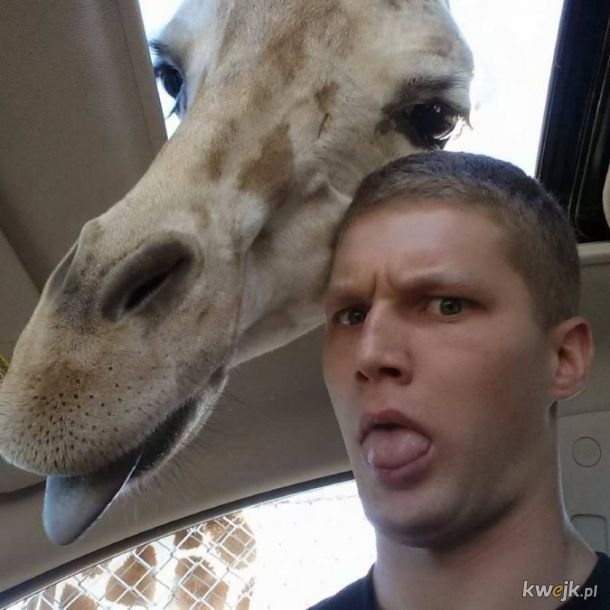 Najlepsze selfie ze zwierzętami