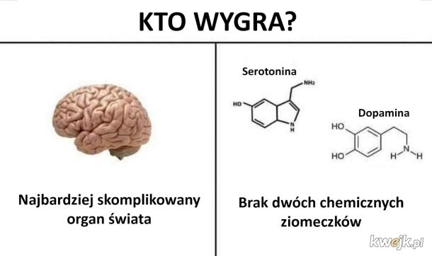 Mózg vs chemiczne ziomeczki