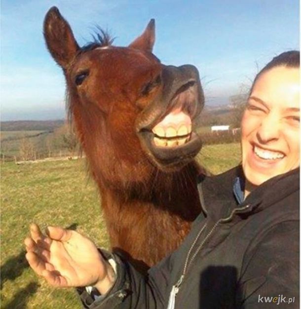 Najlepsze selfie ze zwierzętami