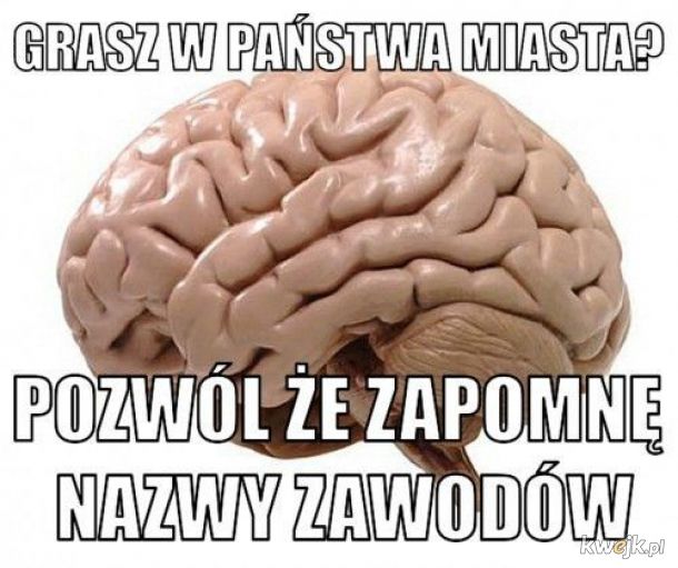 Typowy mózg