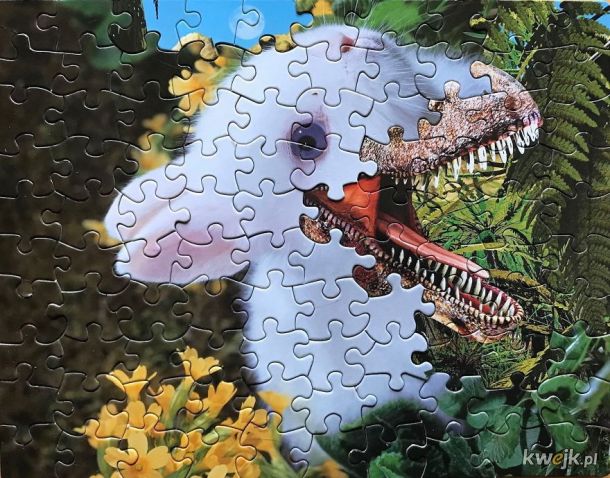 Surrealistyczne obrazy z pomieszanych puzzli