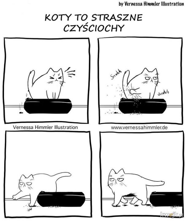 Komiksy o życiu z kotem