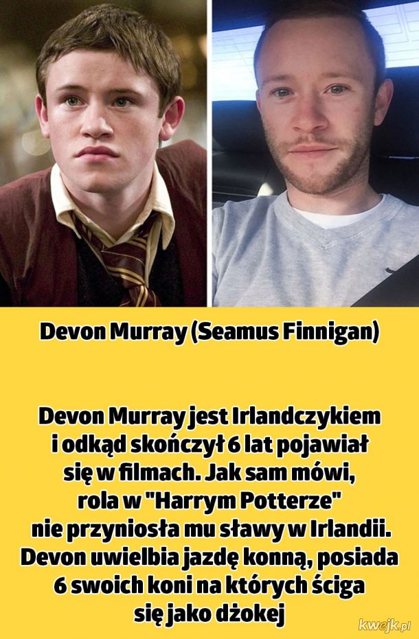 Harry Potter to nie tylko tytułowy bohater, Hermiona i Ron