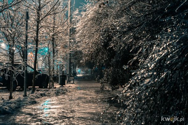 Kraina lodu w Bukareszcie na fotografiach Andreia Rauty, obrazek 5