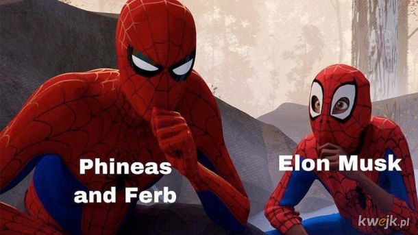 Fineasz i Ferb
