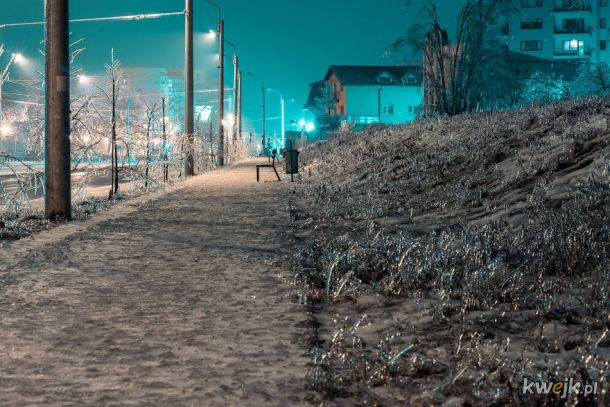 Kraina lodu w Bukareszcie na fotografiach Andreia Rauty, obrazek 13