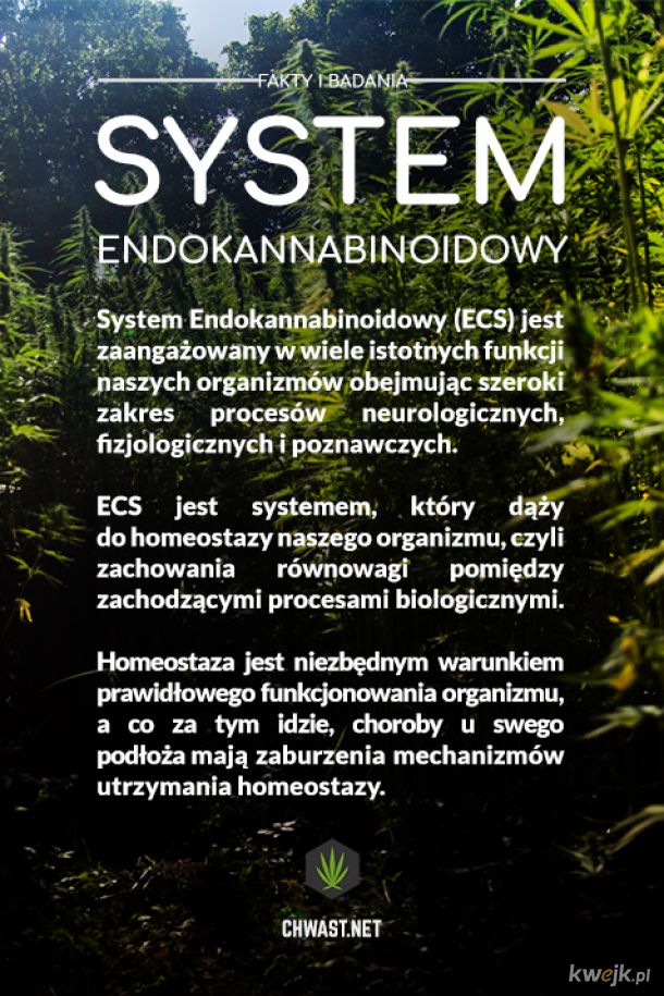 System Endokannabinoidowy
