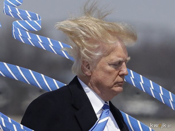 Amerykanie śmieszkują z przydługich krawatów Donalda Trumpa, obrazek 12