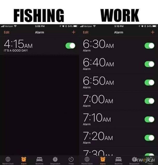 Ryby vs praca