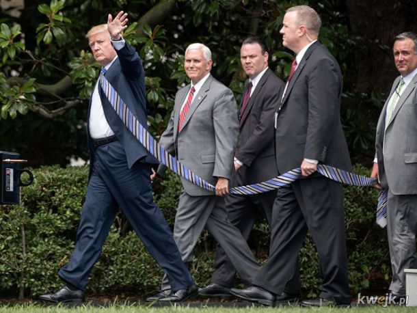 Amerykanie śmieszkują z przydługich krawatów Donalda Trumpa, obrazek 19