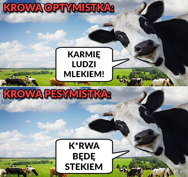Dwa rodzaje krowy