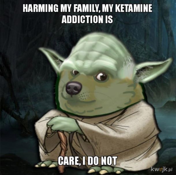 Yoda witamin doda