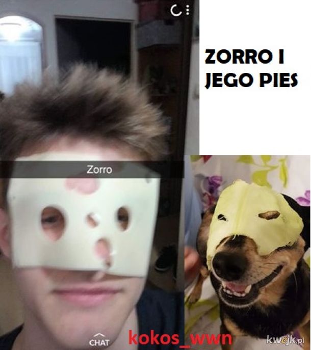 Zorro i jego pies