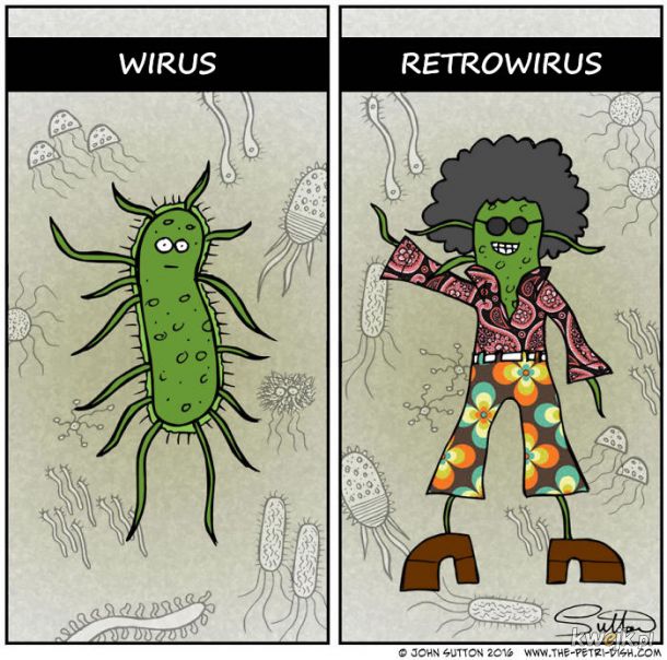 Naukowe komiksy The Petri Dish, obrazek 2
