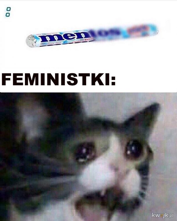 Feministki