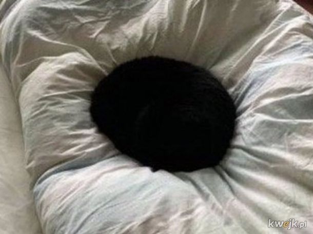 Naukowcy zrobili pierwsze zdjęcie czarnej dziury, obrazek 7