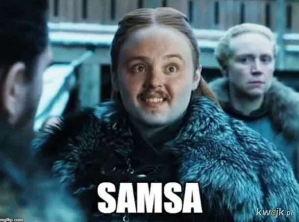 Samsa Stark
