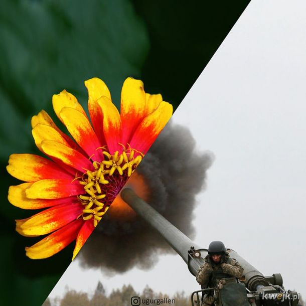 Zdjęcia, które pokazują ogromny kontrast między światem żyjącym w pokoju a pogrążonym w wojnie, obrazek 11