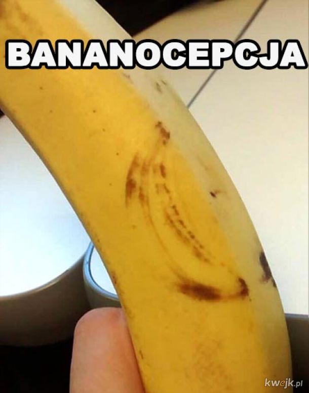 Banan na bananie