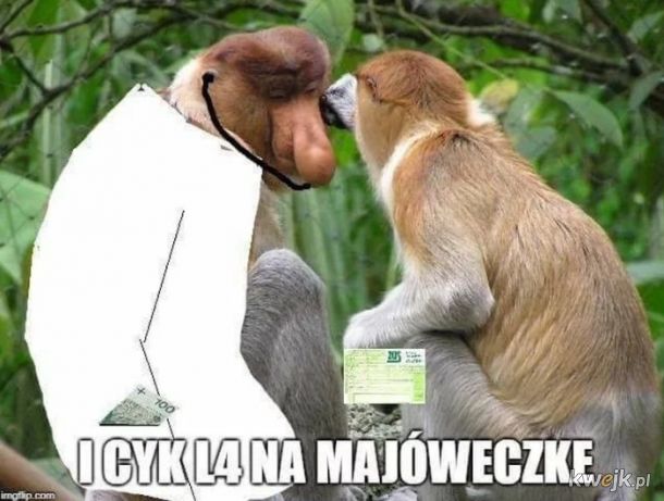 Majówka is coming