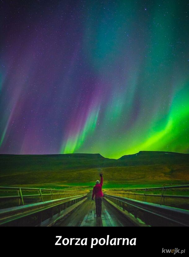 Islandia - kraj, w którym można spotkać wiele fascynujących i dziwnych rzeczy