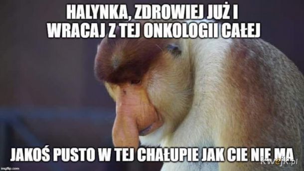 biedny Janusz 