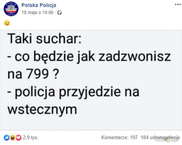 Polska Policja