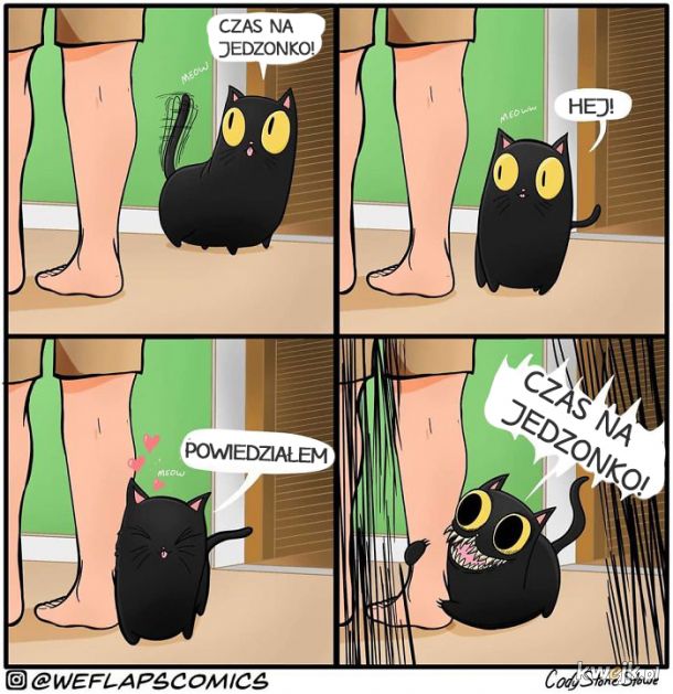 Problemy właścicieli kotów, obrazek 13