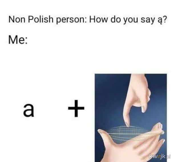 Polska język