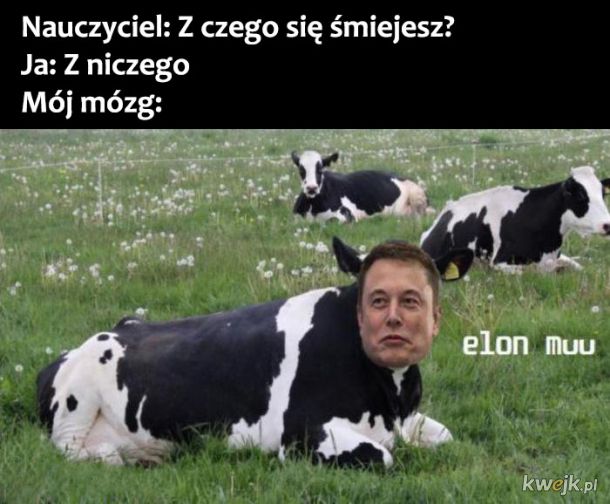 Elon Musk kończy 48 lat, a to najlepsze memy
