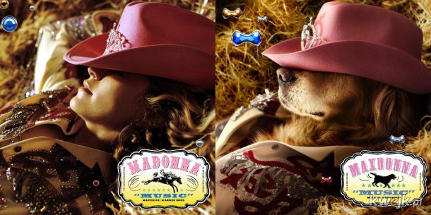 Pies, który odtworzył kultowe zdjęcia Madonny, obrazek 3