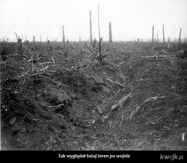 Francuska strefa śmierci, gdzie pierwsza wojna światowa do dziś zbiera śmiertelne żniwo, obrazek 17