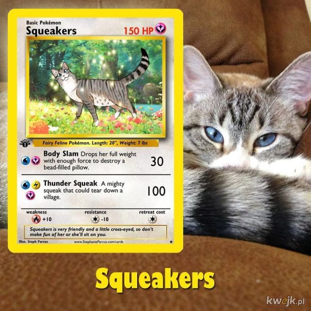 Artysta tworzy spersonalizowane karty Pokémon z prawdziwymi zwierzętami, obrazek 4