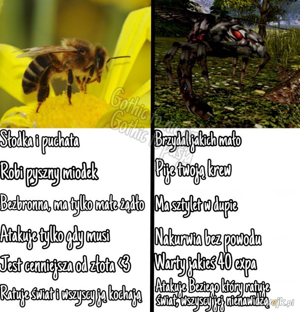 Pszczółka lepsza