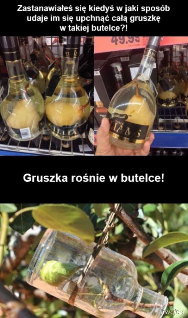 Gruszki
