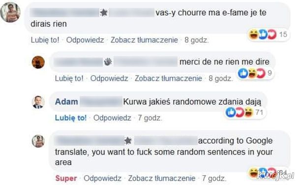 Polacy w internetach
