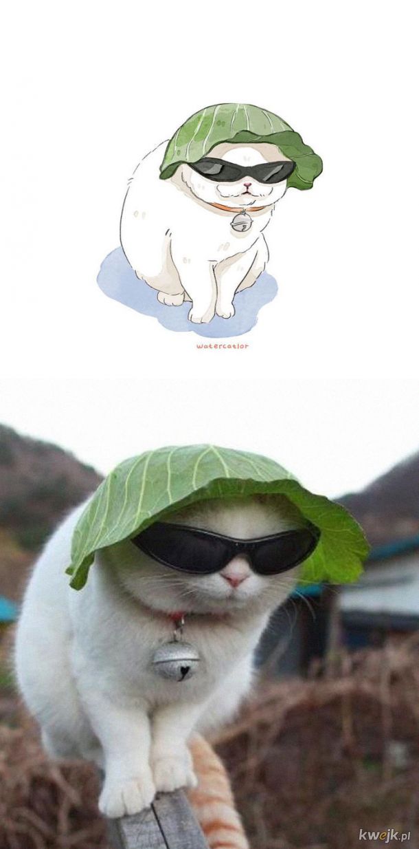 Memowe kotki na obrazach Watercatlor
