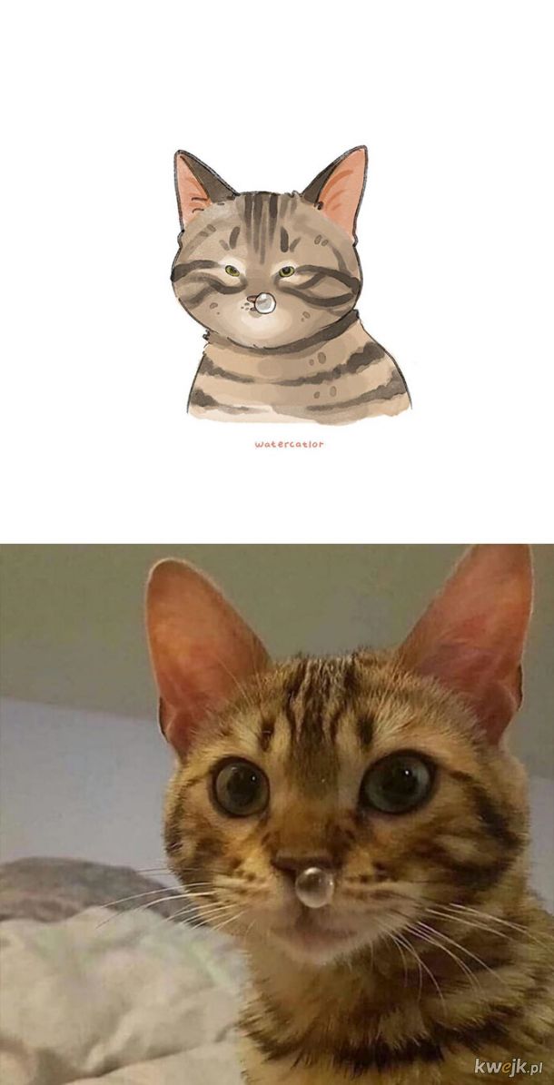 Memowe kotki na obrazach Watercatlor, obrazek 7