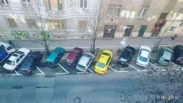 Mistrzowie parkowania, obrazek 1