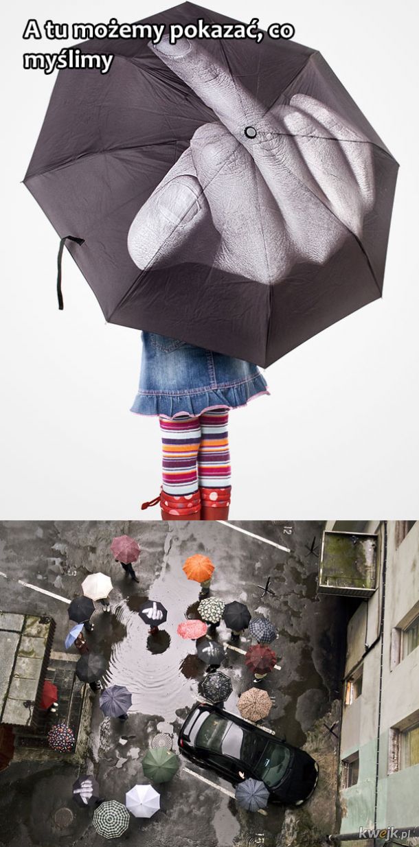 Kilka nietypowych parasolek - Jesień is coming, obrazek 9