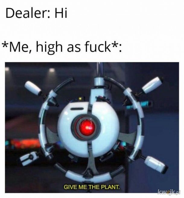 gimme a plant