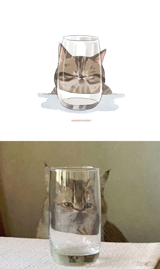 Memowe kotki na obrazach Watercatlor