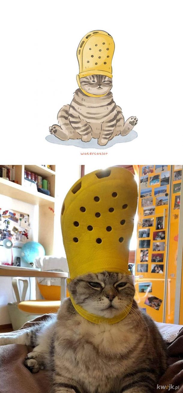 Memowe kotki na obrazach Watercatlor, obrazek 11
