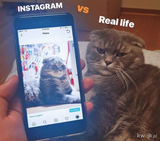 Instagram vs życie